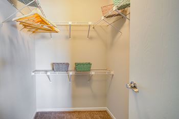 A white closet with a white door and a white wall.